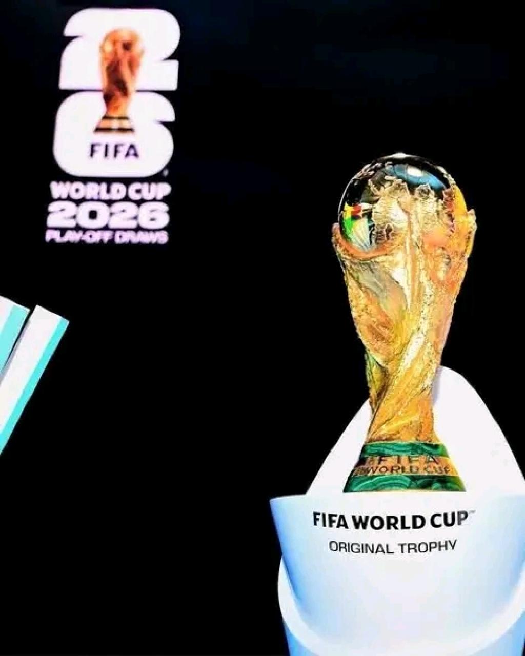 Precautionary measures activated in the United States to counter Ebola risks ahead of the World Cup